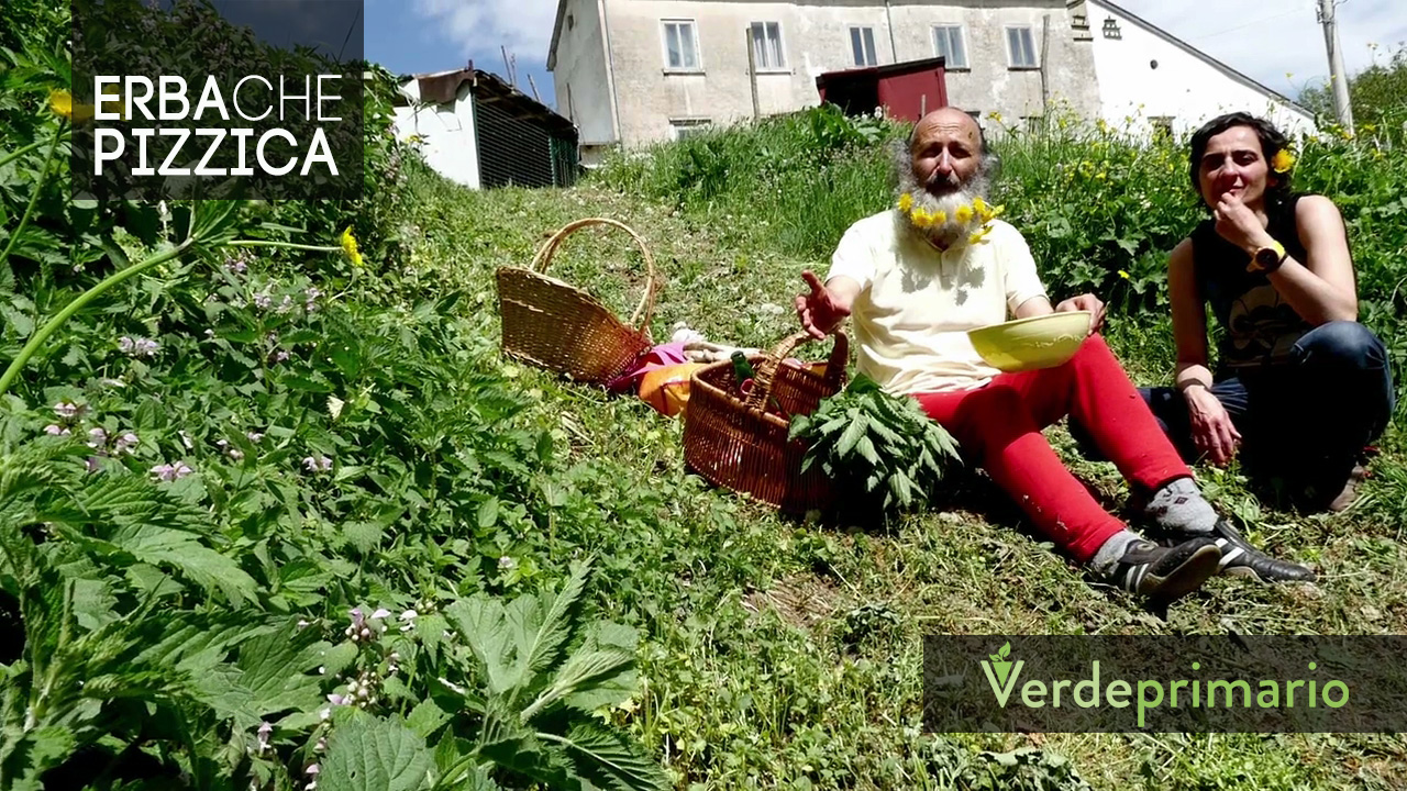 Erba Che Pizzica" documentario | Verde Primario web serie